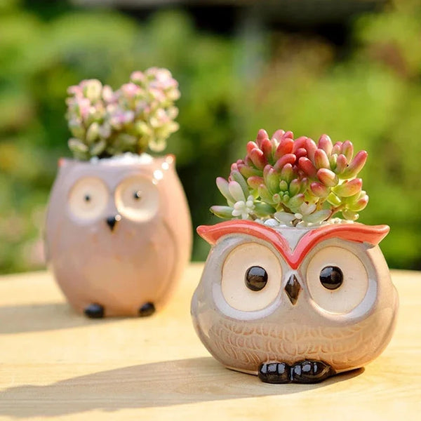 Schattige Uil Bloempot Tuin