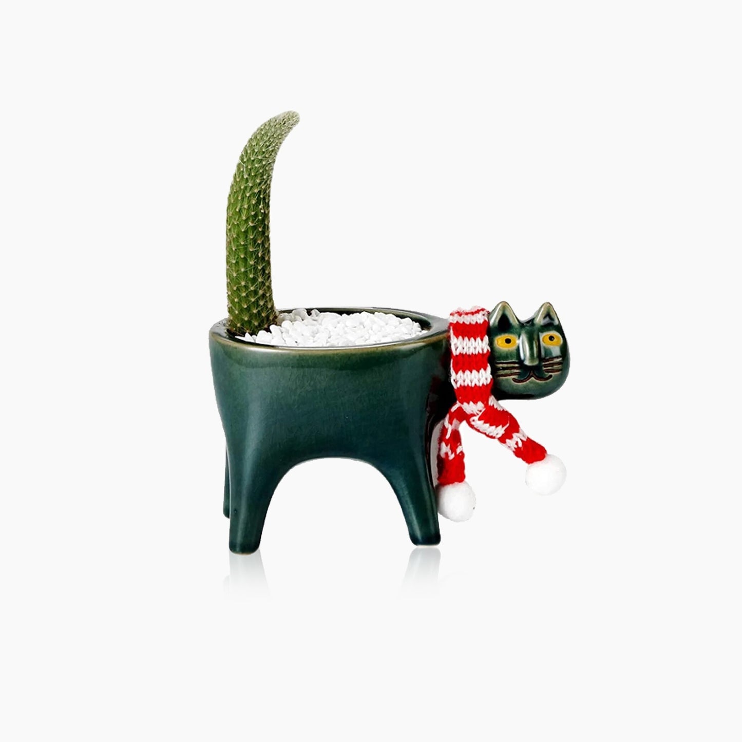 Kattenstaart Bloempot