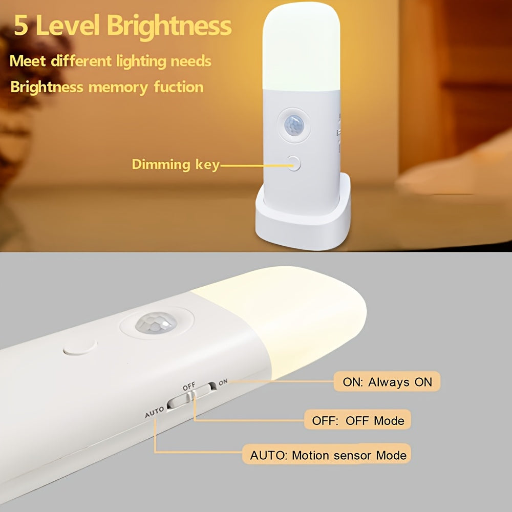 LED Motion Sensor Night Light