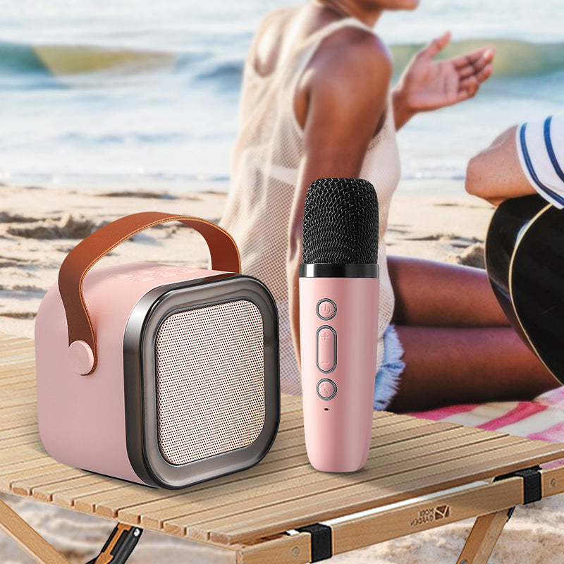 Zingplezier Bluetooth Karaoke Set
