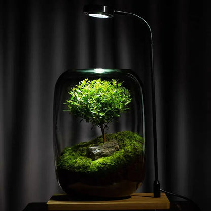 Miniatuur Natuur in Glazen Vaasje