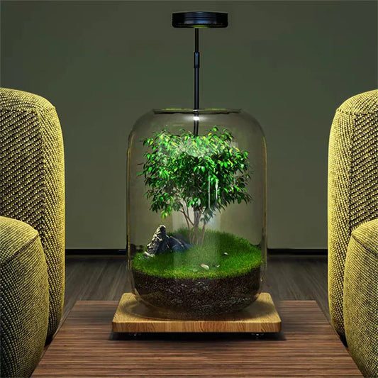 Miniatuur Natuur in Glazen Vaasje