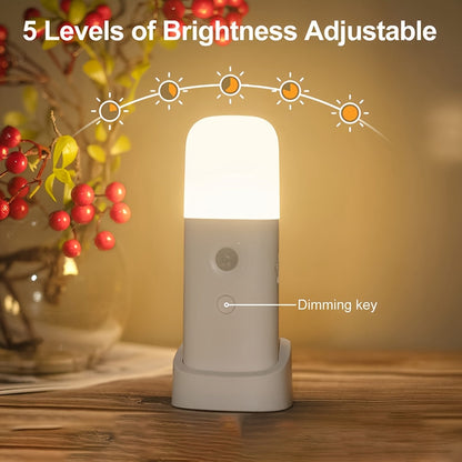LED Motion Sensor Night Light