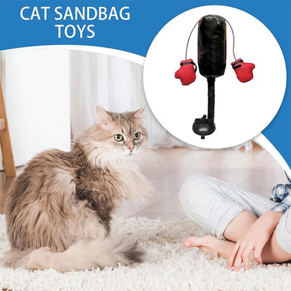 Katten Boks Speelgym