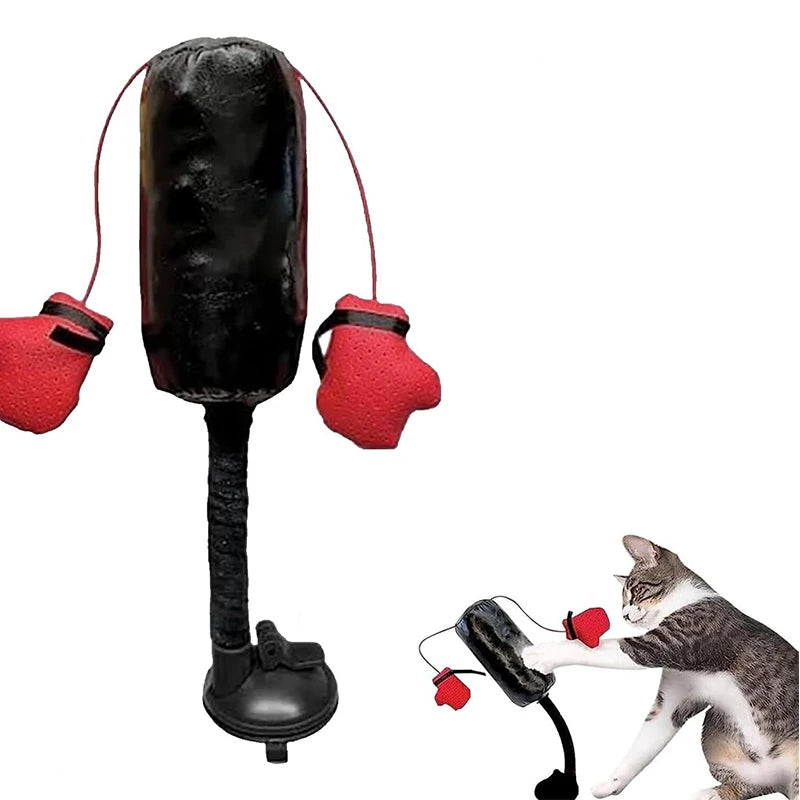 Katten Boks Speelgym