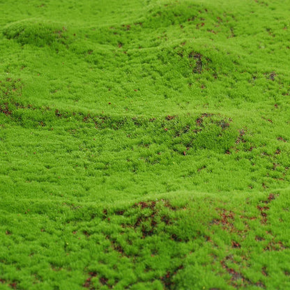 Kunstgras Zachte Groene Mos Vloerkleed