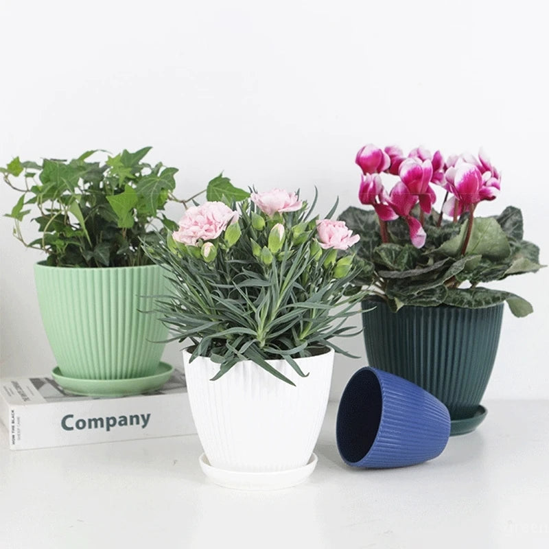 Kleurrijke Bloempotten met Schotel