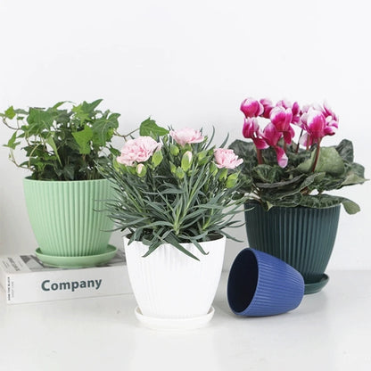 Kleurrijke Bloempotten met Schotel