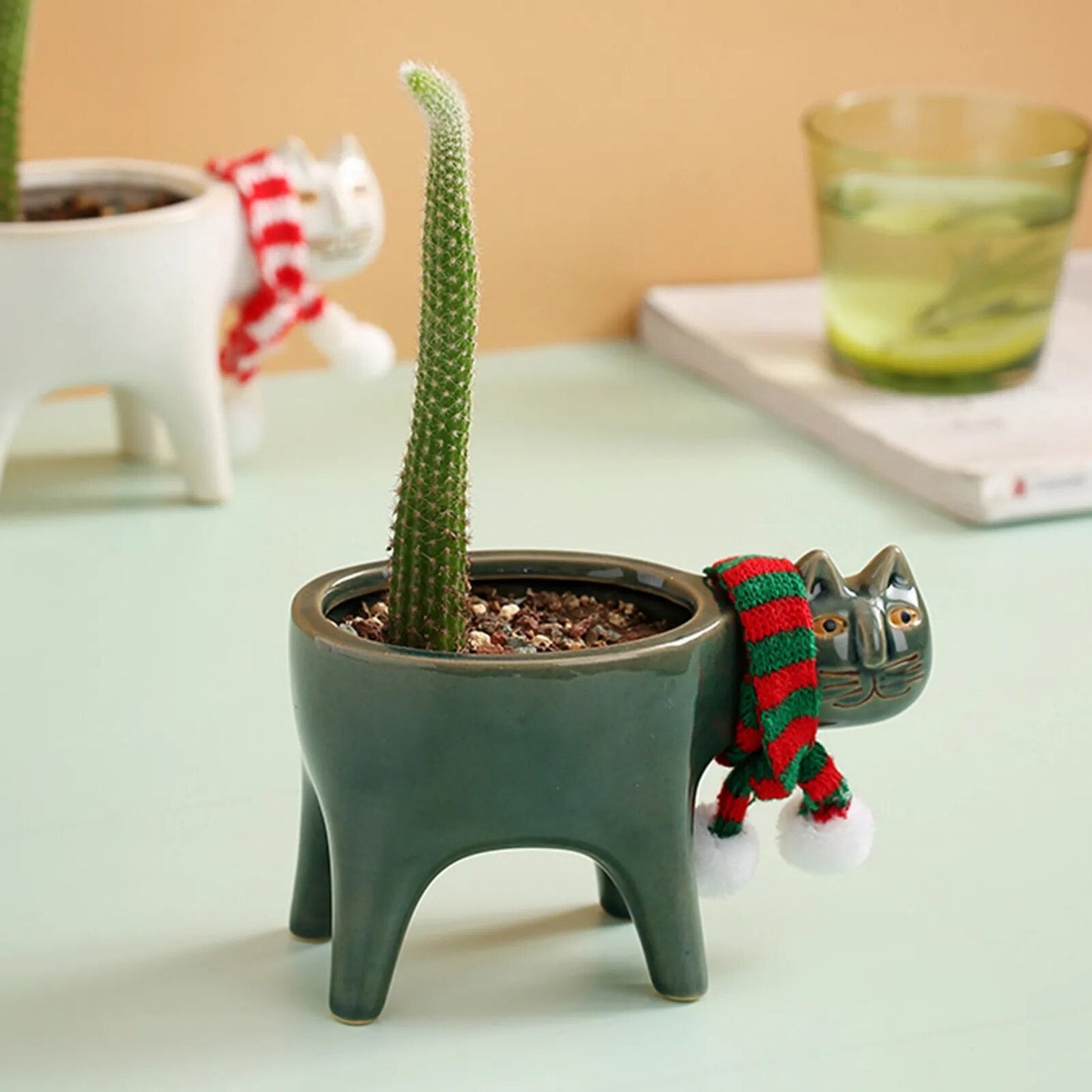 Kattenstaart Bloempot
