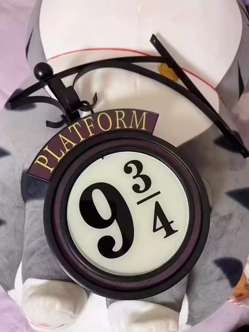 Hogwarts Magische LED Wandlamp