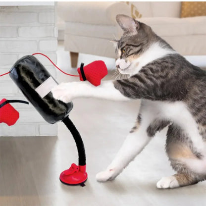 Katten Boks Speelgym