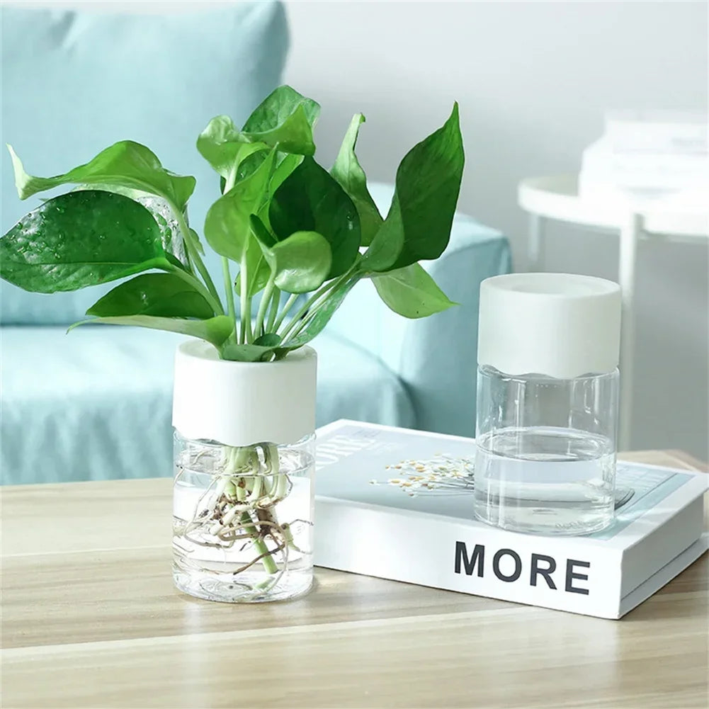 2 Stuks Mini Soilless Bloempotje