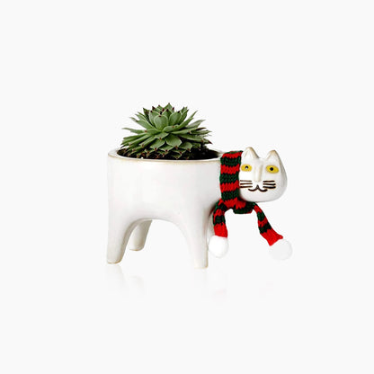 Kattenstaart Bloempot