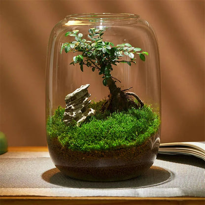 Miniatuur Natuur in Glazen Vaasje