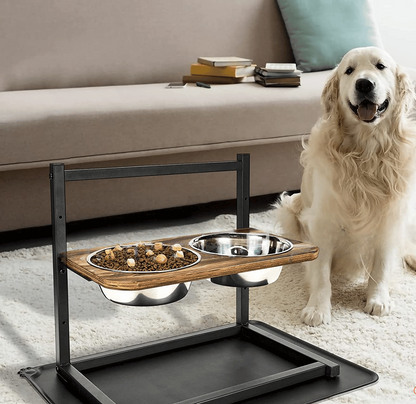 Verhoogde Voerbak voor Honden