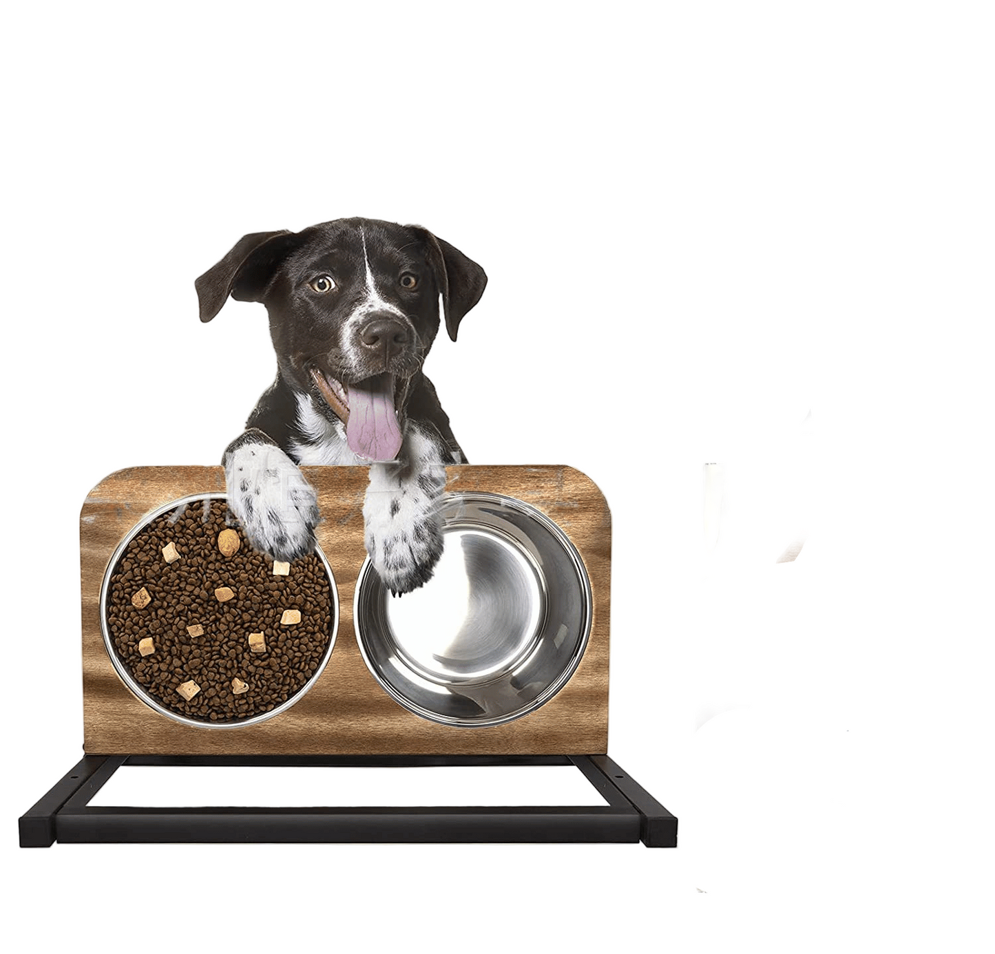 Verhoogde Voerbak voor Honden
