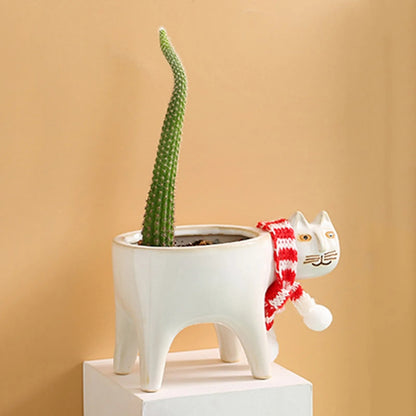 Kattenstaart Bloempot