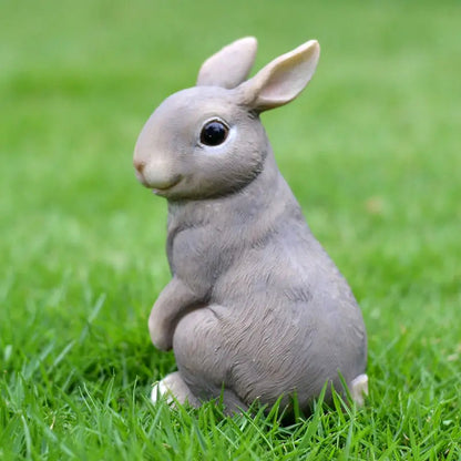Dieren Tuin Beelden