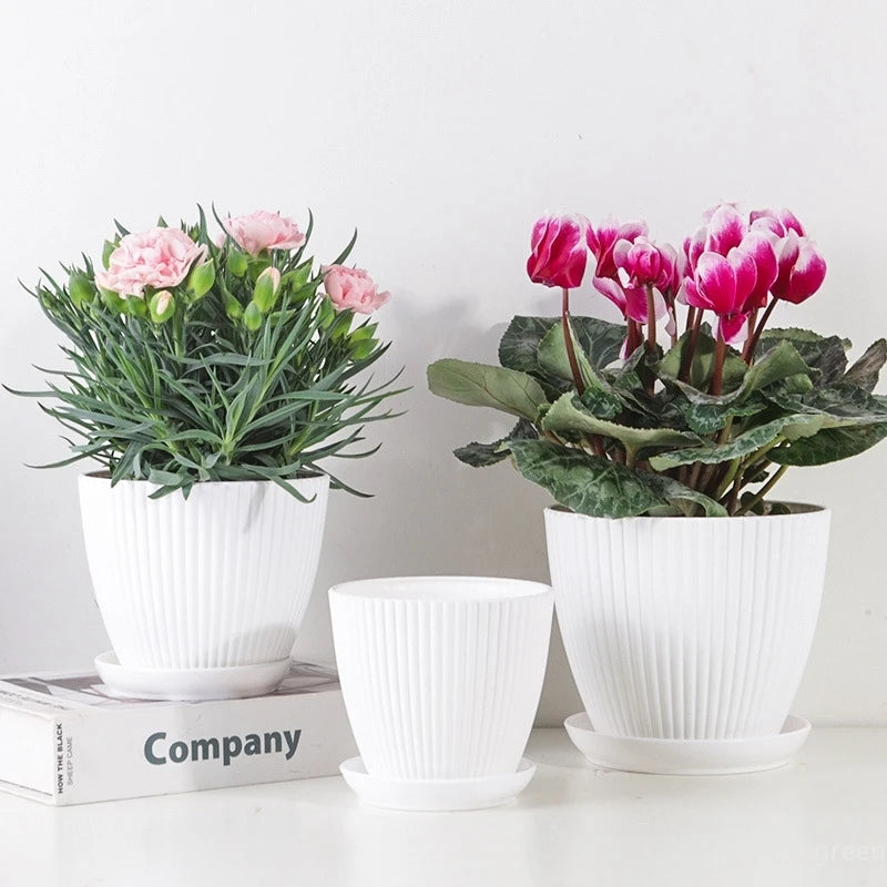 Kleurrijke Bloempotten met Schotel