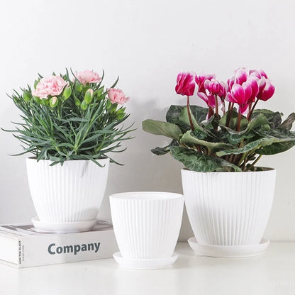 Kleurrijke Bloempotten met Schotel