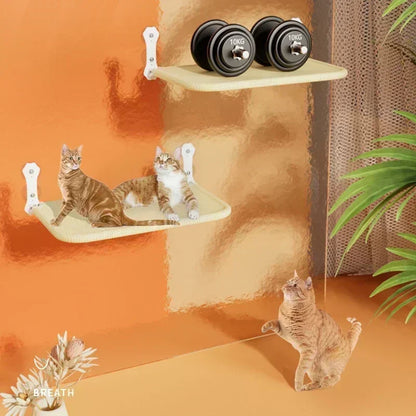 Hangmat voor katten