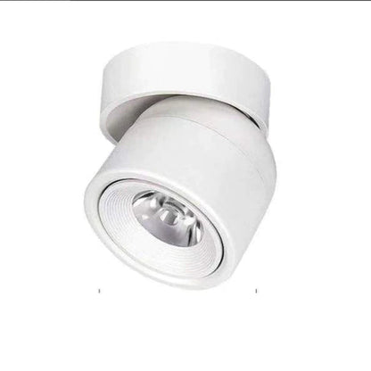 LED Dimmable Spotlamp