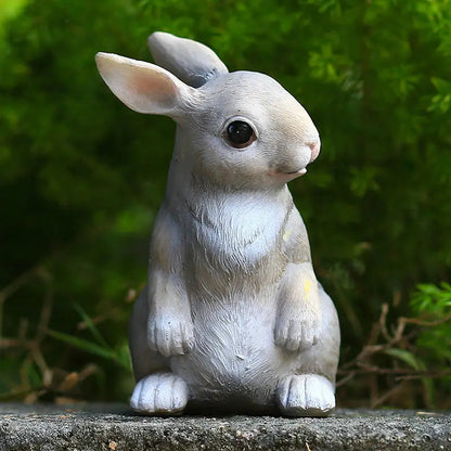 Dieren Tuin Beelden