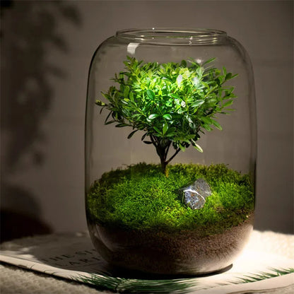 Miniatuur Natuur in Glazen Vaasje