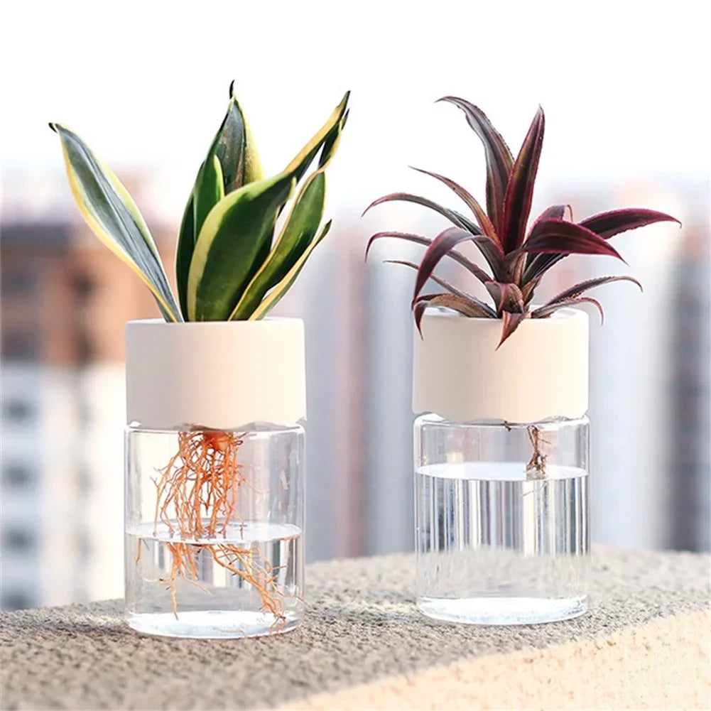 2 Stuks Mini Soilless Bloempotje