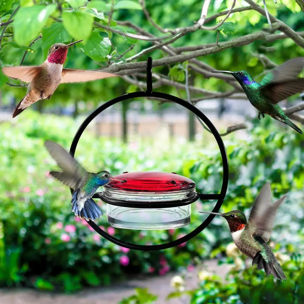 Orbit Vogelvoederhuisje Prachtig