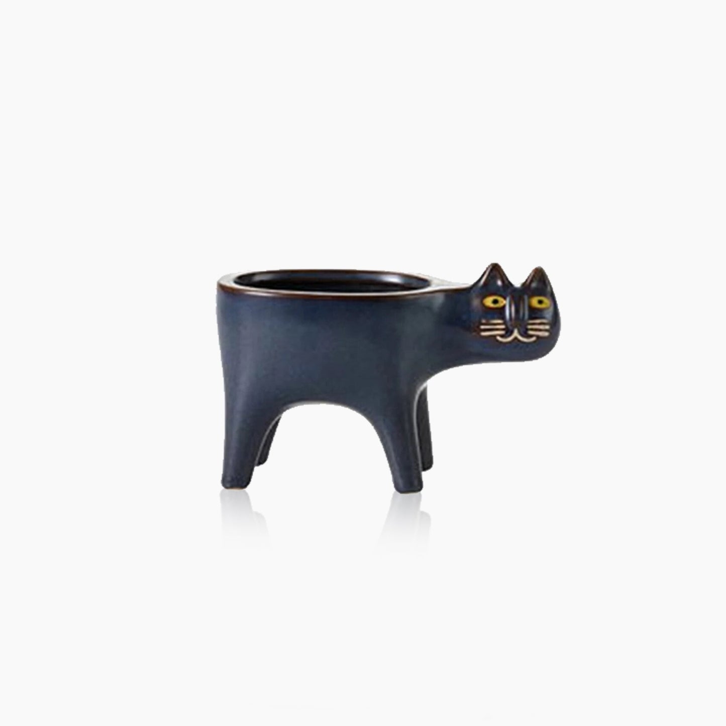 Kattenstaart Bloempot