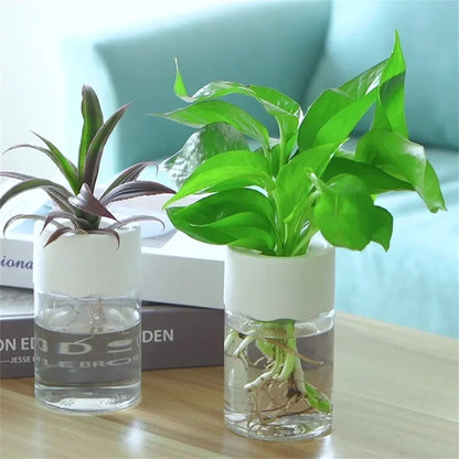 2 Stuks Mini Soilless Bloempotje