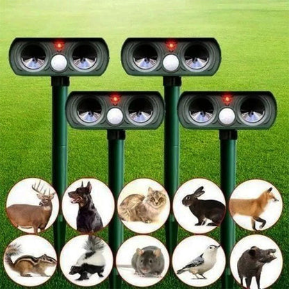 Zonne-dierenbeschermer