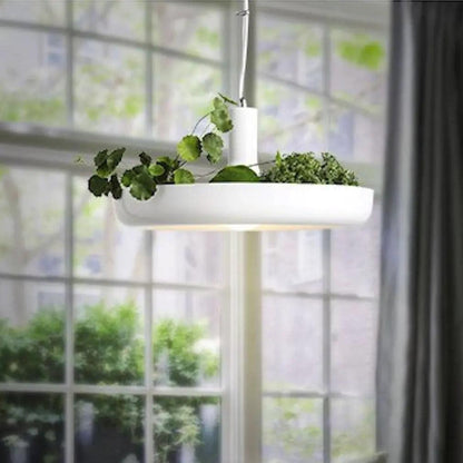 Sky Garden Hanglamp met Planten