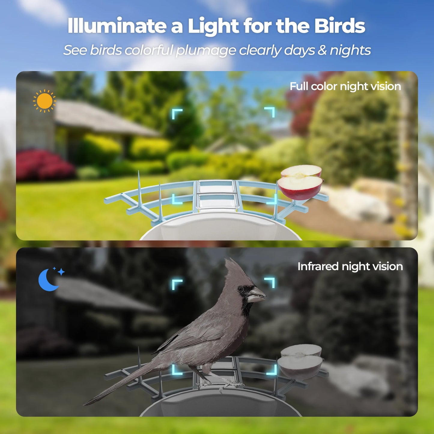 Slimme vogelvoederautomaat met camera op zonne-energie