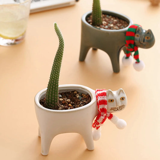 Kattenstaart Bloempot
