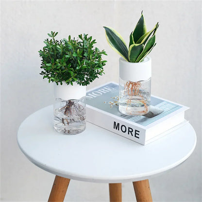 2 Stuks Mini Soilless Bloempotje
