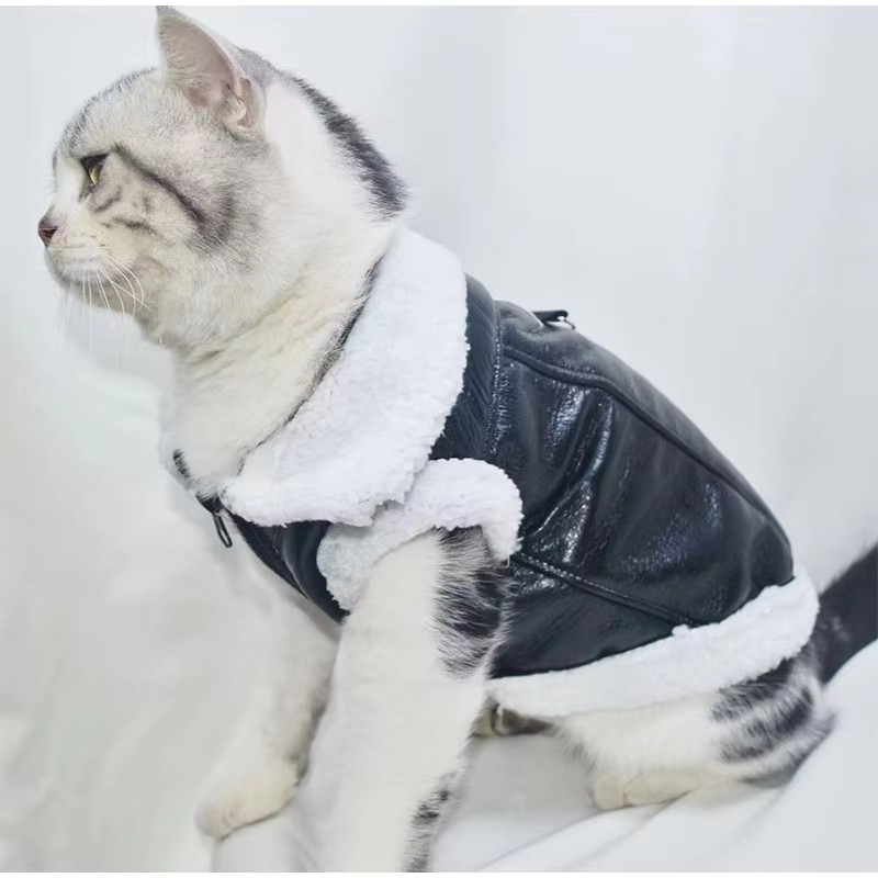 Warme Winddichte Hondenjas Kat voor Winterdagen
